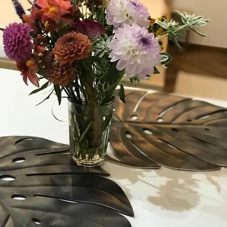 Apartamento Debreceni Nagyerdei Rosehill 2 Greatforest Rosehill 2 Free Parking -bmw-auguszta Klinika- *