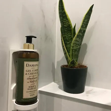 Debreceni Nagyerdei Rosehill 2 Greatforest Rosehill 2 Free Parking -bmw-auguszta Klinika- * Debrecen