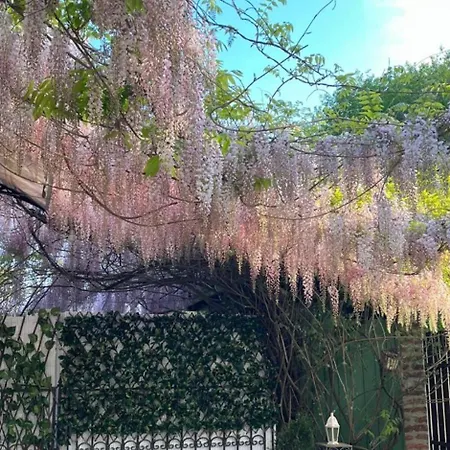 Debreceni Nagyerdei Rosehill 2 Greatforest Rosehill 2 Free Parking -bmw-auguszta Klinika- Apartamento Debrecen